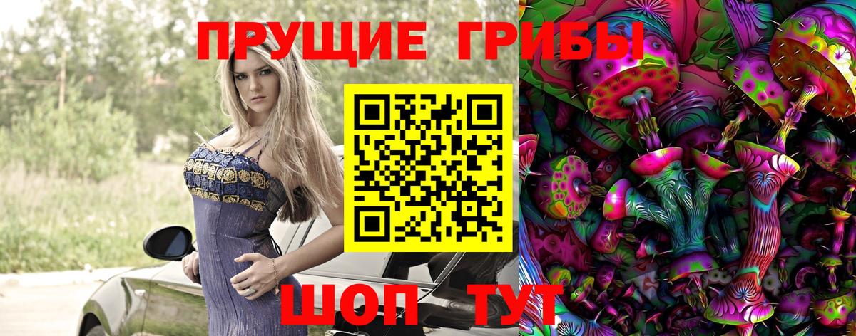 Галлюциногенные грибы Magic Shrooms  Псилоцибиновые грибы Psilocybe  Вход с VPN  Коркино 