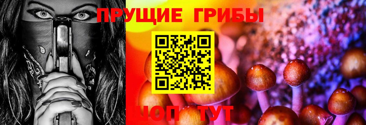 Галлюциногенные грибы MAGIC MUSHROOMS Коркино